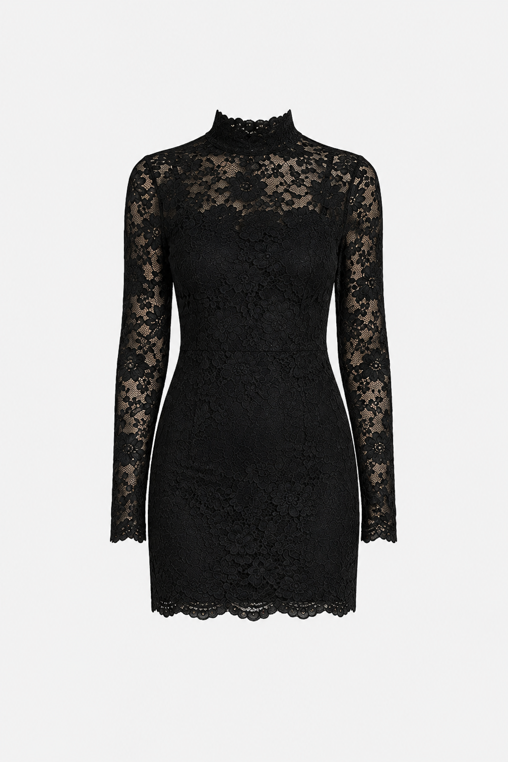 Effie Sheer Long Sleeve Bodycon Lace Mini Dress