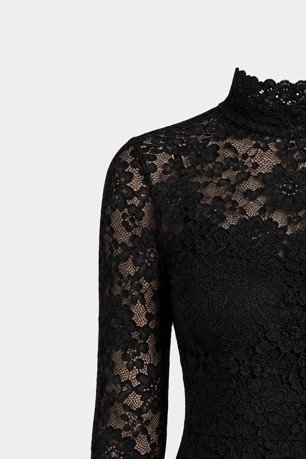 Effie Sheer Long Sleeve Bodycon Lace Mini Dress